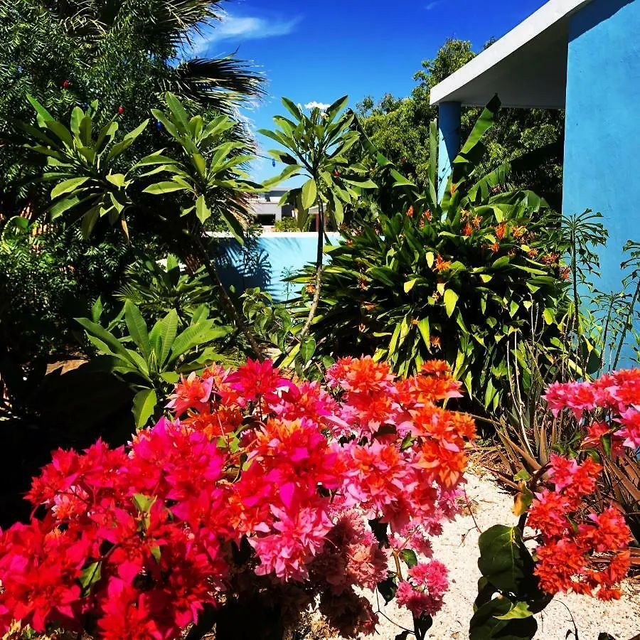 Tropical Breeze Curacao 'Blenchi' Appartement Willemstad